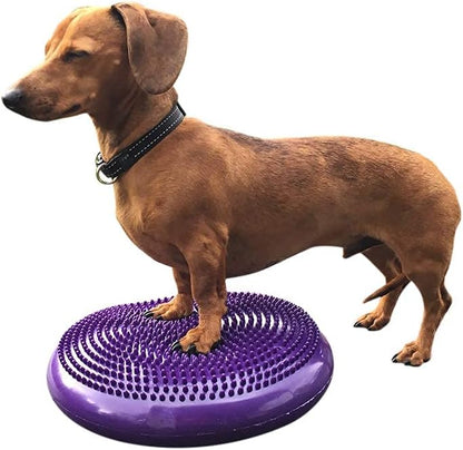 DEZAL Dog Balance Disc 14" - Canine Rehab and Fitness Equipment With Pump