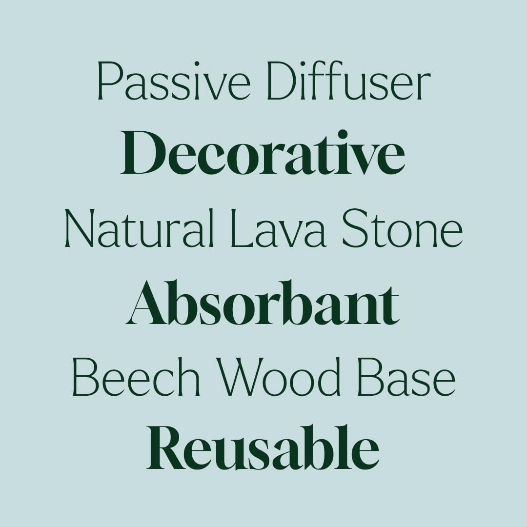 Plant Therapy Lava Rock Passive Diffuser for Essential Oils Great for Decorating at Home, Office or Car, and Gift-Giving