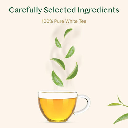 VAHDAM Himalayan White Teabag(15 Count)Individually Wrapped Pyramid Teabags