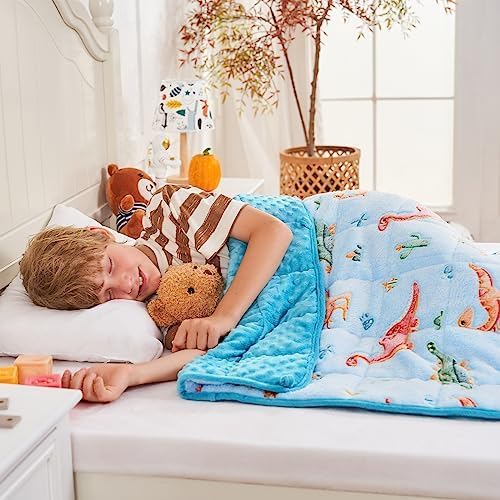 yescool Weighted Lap Pad 2 Pounds Weighted Lap Blanket, Space Plane Small Weighted Blanket, Weighted Throw Blanket Gifts for Travel Indoor Outdoor, 20"x30"