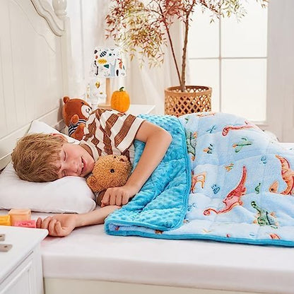 yescool Weighted Lap Pad 2 Pounds Weighted Lap Blanket, Space Plane Small Weighted Blanket, Weighted Throw Blanket Gifts for Travel Indoor Outdoor, 20"x30"