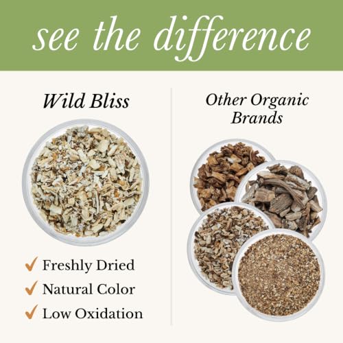 Wild Bliss Organic Burdock Root Tea - Caffeine Free Herbal Detox Support - Pharmacopoeia Quality - 25 Plant Based Tea Bags (Pack of 2)
