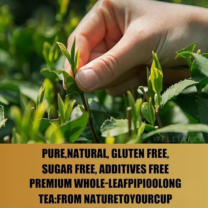 pipitea Organic Oolong Tea Bags - Whole Leaf, (20 bags) 4g Selected Tea Leaves - Helps lower cortisol levels, relieve stress, promote digestion and metabolism, vegan, non-GMOPerfect for Hot & Iced（A)