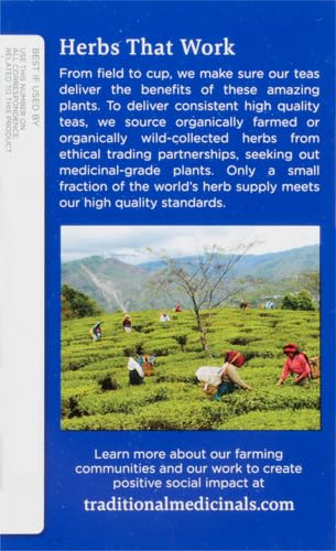 Traditional Medicinals Organic, Nighty Night Tea, Chamomile & Passionflower - Herbal Sleep Aid Teas - Kosher, Non-GMO, Caffeine-Free, Compostable - 16 Tea Bags