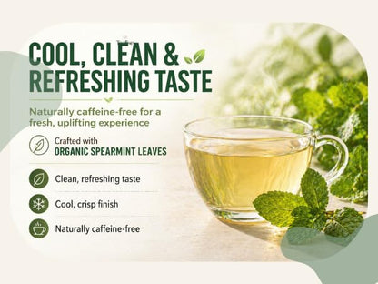 Organic Wellness Herbal tea 60 Servings Plant-Based Tea Bags – Caffeine Free with individual Wrap (Spearmint)