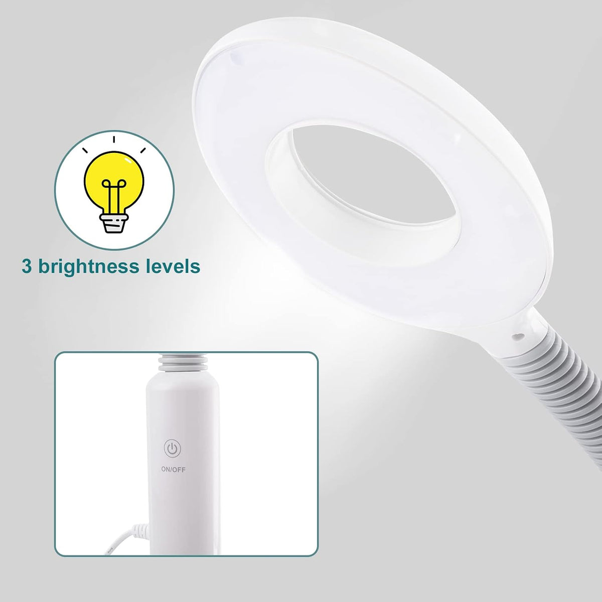 Winado 2 in 1 Facial Steamer with 5X Magnification Light, Deep Cleaning
