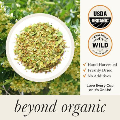 Wild Bliss Organic Linden Flower Herbal Tea - Caffeine Free Tisane - 20 Plant Based Tea Bags (Pack of 2)