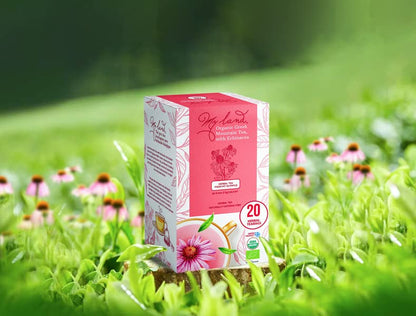 My Land Organic Greek Mountain Tea with Echinacea, Mount Olympus, 20 Bags