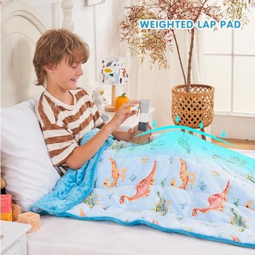 yescool Weighted Lap Pad 2 Pounds Weighted Lap Blanket, Space Plane Small Weighted Blanket, Weighted Throw Blanket Gifts for Travel Indoor Outdoor, 20"x30"