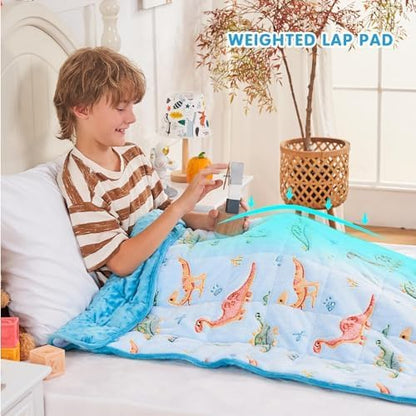 yescool Weighted Lap Pad 2 Pounds Weighted Lap Blanket, Space Plane Small Weighted Blanket, Weighted Throw Blanket Gifts for Travel Indoor Outdoor, 20"x30"