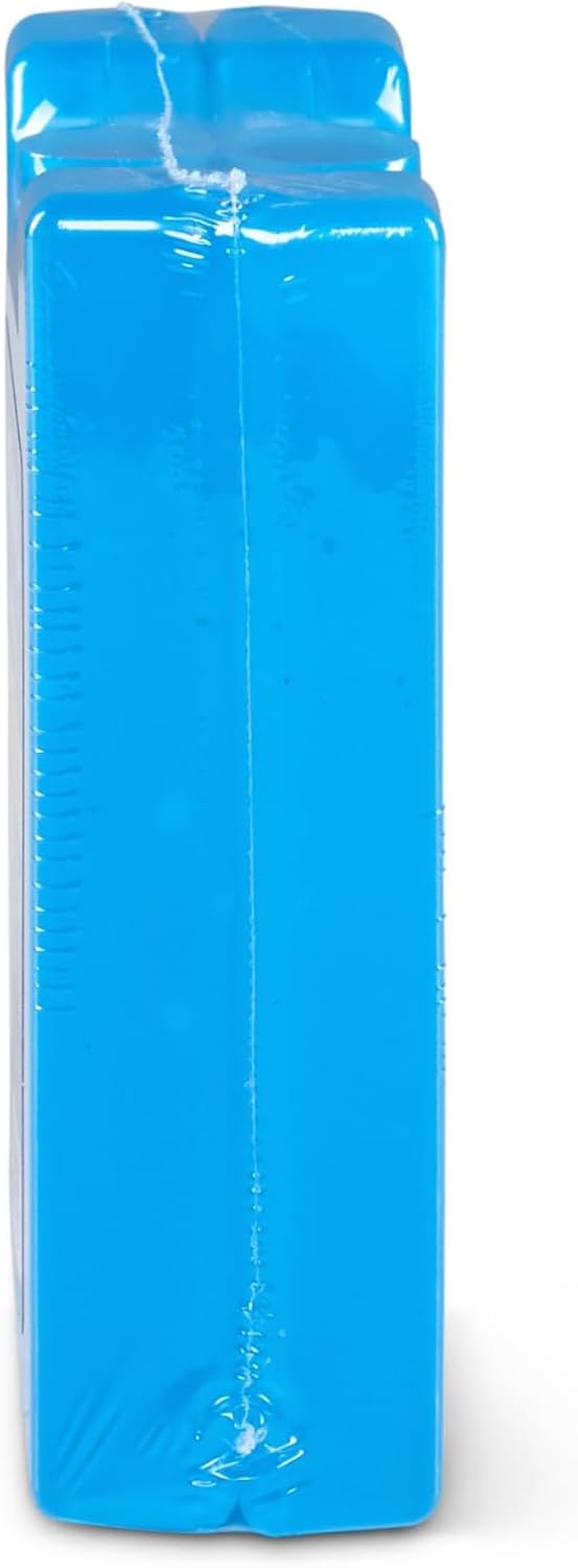 Igloo Maxcold Ice Block,4 Pieces, Ice Block