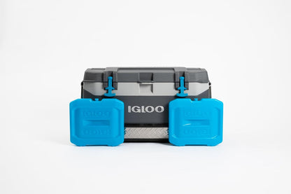 Igloo Maxcold Ice Block,4 Pieces, Ice Block