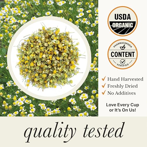 Wild Bliss Organic Chamomile Tea - Caffeine Free Calming Herbal Support - Pharmacopoeia Potency - 20 Plant Based Tea Bags (Pack of 2)
