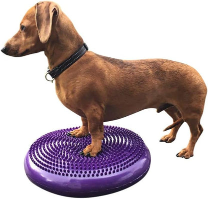 DEZAL Dog Balance Disc 14" - Canine Rehab and Fitness Equipment With Pump
