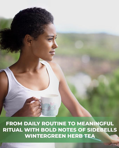 4 oz. Milk Thistle Herb Dried Milk Thistle Herbal Tea (Silybum Marianum) - 113g Herb Tea Cardo Mariano