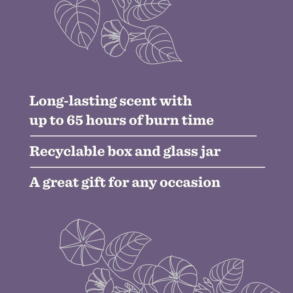 MRS. MEYER'S CLEAN DAY Lavender Soy Candle, Garden-Inspired Aromatherapy Homekeeping, 35 Hour Burn Time, Made with Essential Oils, 7.2 oz Large Glass Jar Candles (Pack of 2)