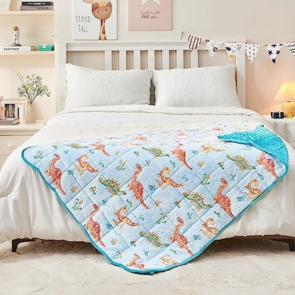 yescool Weighted Lap Pad 2 Pounds Weighted Lap Blanket, Space Plane Small Weighted Blanket, Weighted Throw Blanket Gifts for Travel Indoor Outdoor, 20"x30"