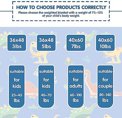 yescool Weighted Lap Pad 2 Pounds Weighted Lap Blanket, Space Plane Small Weighted Blanket, Weighted Throw Blanket Gifts for Travel Indoor Outdoor, 20"x30"
