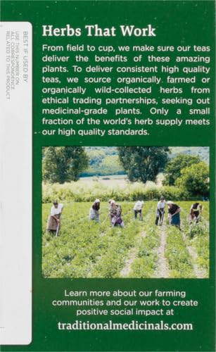 Traditional Medicinals Organic, Lemon Balm - Supports Stress Relief & Digestive Health - Kosher, Non-GMO, Caffeine-Free, Compostable - 16 Tea Bags