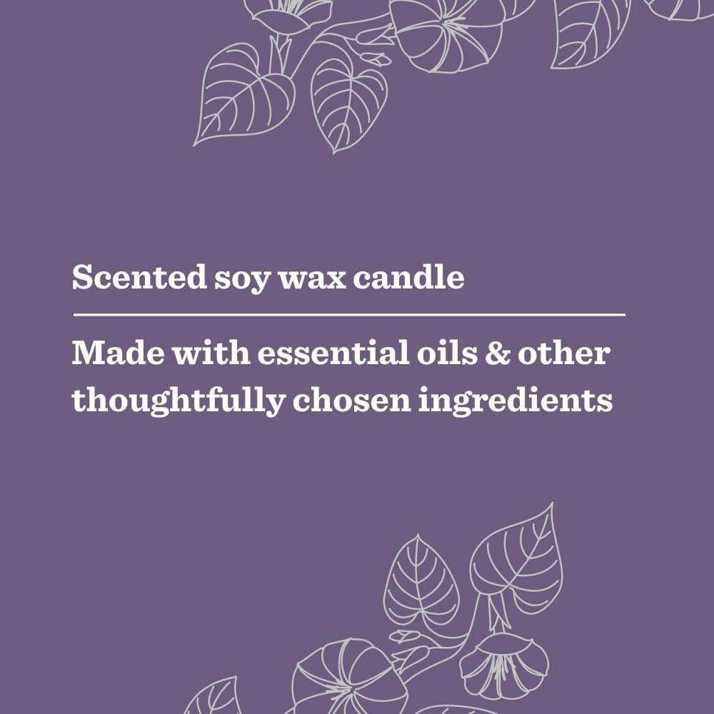 MRS. MEYER'S CLEAN DAY Lavender Soy Candle, Garden-Inspired Aromatherapy Homekeeping, 35 Hour Burn Time, Made with Essential Oils, 7.2 oz Large Glass Jar Candles (Pack of 2)