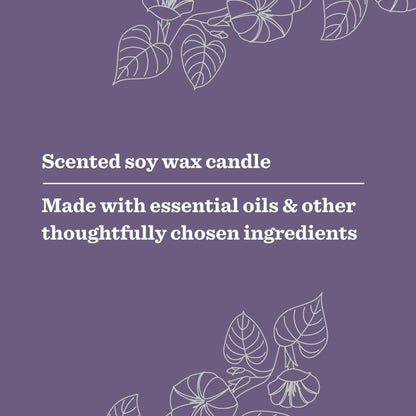 MRS. MEYER'S CLEAN DAY Lavender Soy Candle, Garden-Inspired Aromatherapy Homekeeping, 35 Hour Burn Time, Made with Essential Oils, 7.2 oz Large Glass Jar Candles (Pack of 2)