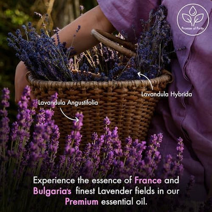 Majestic Pure Lavender Essential Oil for Diffuser - 4 Fl Oz
