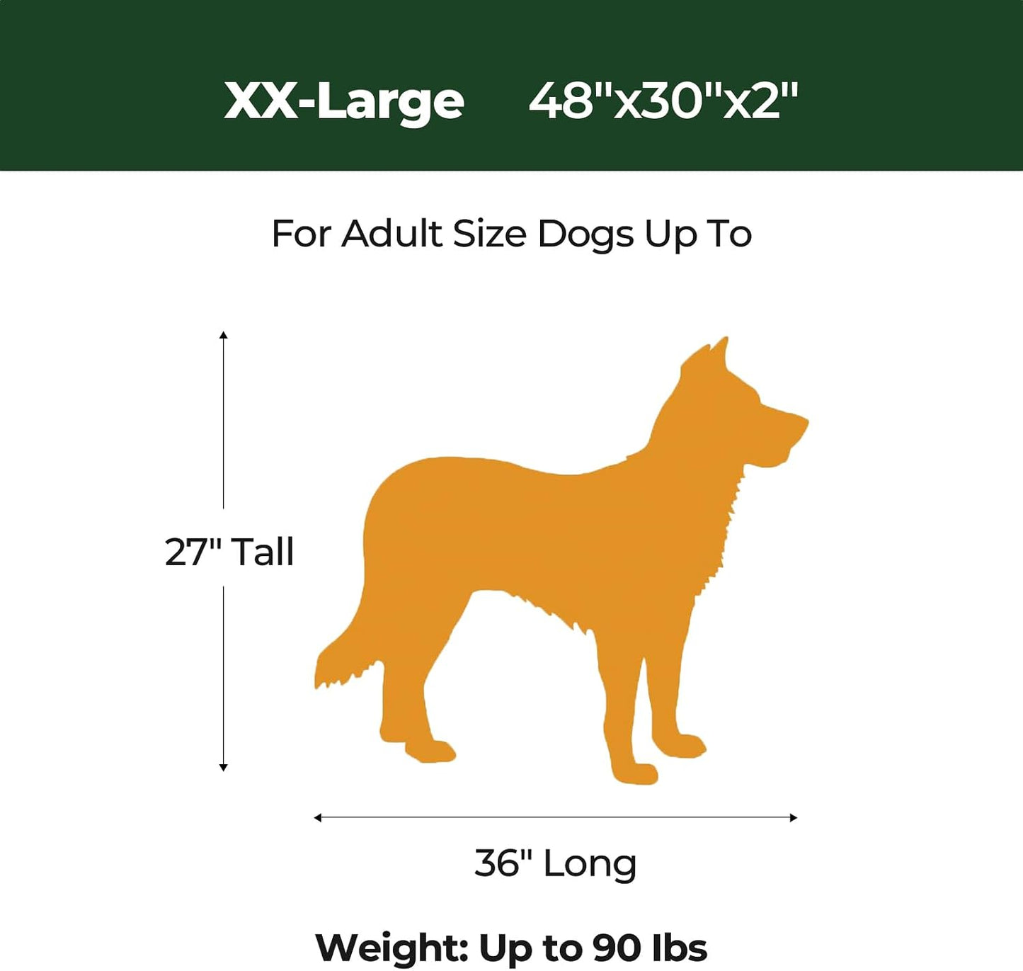 BALANCE Dog Crate Bed, Orthopedic Dog Bed Pad with Waterproof Liner, Washable Crate Foam Pet Mat for Large, Medium, Puppy Dogs Breeds, Mint Leaf, 36“x23”x1.6“