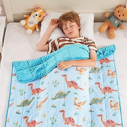 yescool Weighted Lap Pad 2 Pounds Weighted Lap Blanket, Space Plane Small Weighted Blanket, Weighted Throw Blanket Gifts for Travel Indoor Outdoor, 20"x30"