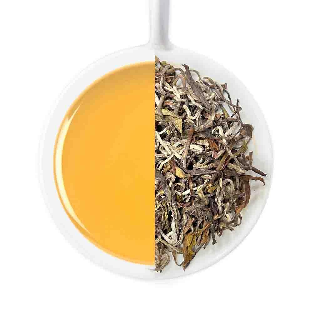 VAHDAM Organic Turmeric Ginger Herbal Tea Bags (100 Pyramid Tea Bags) Caffeine Free, Non GMO | 100% Pure Herbal Blend - Savory & Spicy, Plant-Based Teabags | Resealable Ziplock Pouch