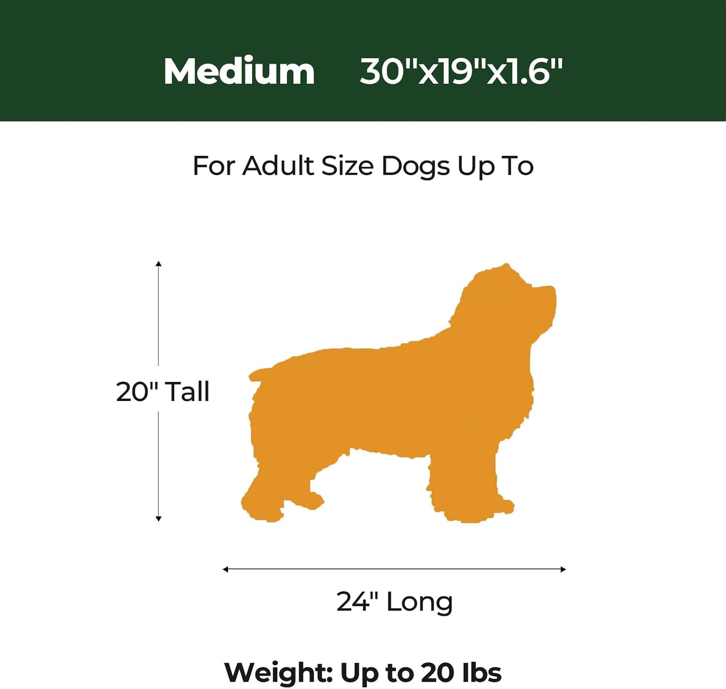 BALANCE Dog Crate Bed, Orthopedic Dog Bed Pad with Waterproof Liner, Washable Crate Foam Pet Mat for Large, Medium, Puppy Dogs Breeds, Mint Leaf, 36“x23”x1.6“