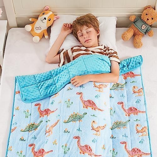 yescool Weighted Lap Pad 2 Pounds Weighted Lap Blanket, Space Plane Small Weighted Blanket, Weighted Throw Blanket Gifts for Travel Indoor Outdoor, 20"x30"