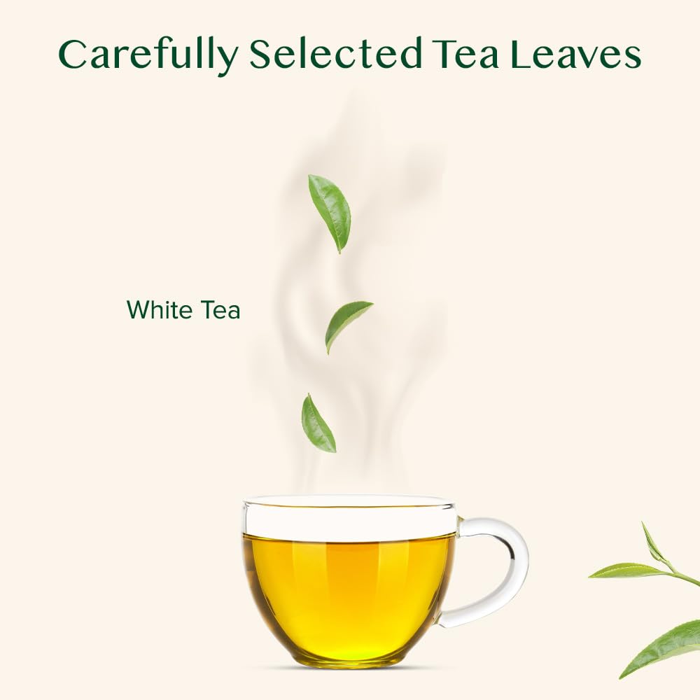 VAHDAM Imperial White Tea Leaves (1.76oz|25+ cups) Grown in Himalayas