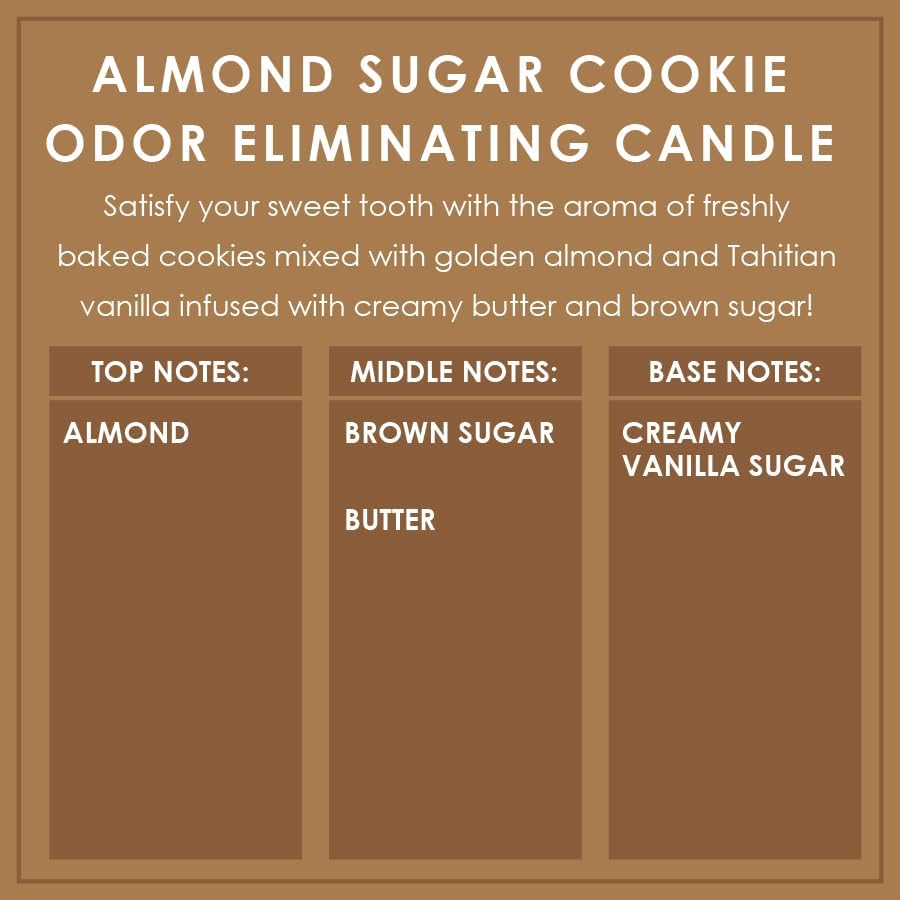 Vanilla Bean Odor Eliminating Highly Fragranced Candle - Eliminates 95% of Pet, Smoke, Food, and Other Smells Quickly - Up to 80 Hour Burn time - 12 Ounce Premium Soy Blend - Colors A