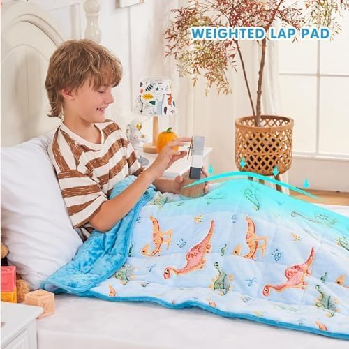 yescool Weighted Lap Pad 2 Pounds Weighted Lap Blanket, Space Plane Small Weighted Blanket, Weighted Throw Blanket Gifts for Travel Indoor Outdoor, 20"x30"