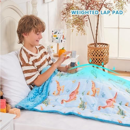 yescool Weighted Lap Pad 2 Pounds Weighted Lap Blanket, Space Plane Small Weighted Blanket, Weighted Throw Blanket Gifts for Travel Indoor Outdoor, 20"x30"