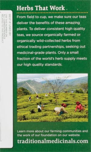 Traditional Medicinals Organic, Hibiscus Tea - Supports Normal Heart Health & Cardiovascular Wellness - Kosher, Non-GMO, Caffeine-Free, Compostable - 16 Tea Bags
