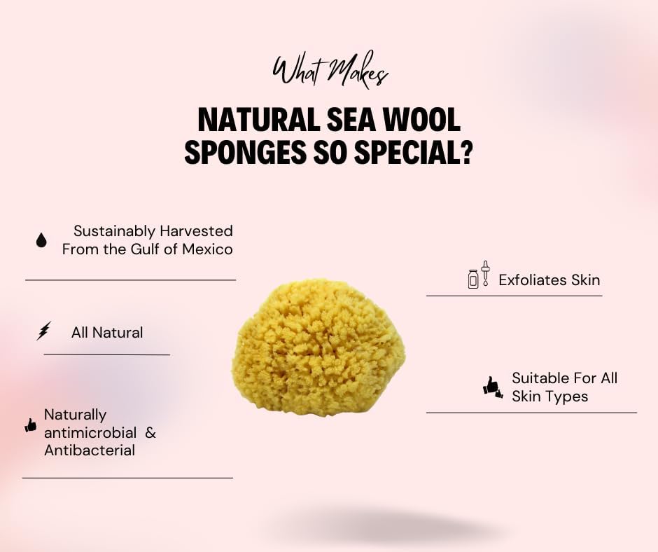 Sea Wool Sponge 5-6" (Large) by Bath & Shower Express ® Natural Renewable Resource, Esponja for Exfoliating and Washing Body