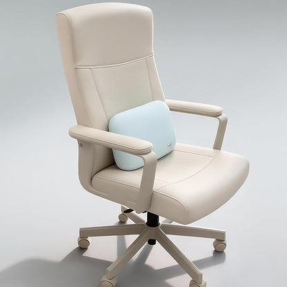 Carwales Emulsion Lumbar Support Pillow for Car Driving Seat Relax Soft Lower Back Support Home Office Chair Cushion Desk Accessories Waist Pain Relief Black