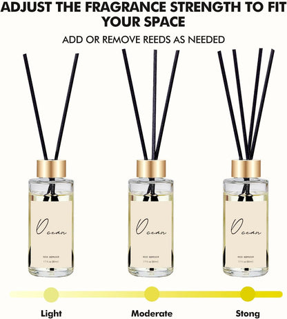 Reed Diffuser Set of 3, Eucalyptus, Linen & Ocean Scented Oil Diffusers with 15 Reeds, Long-Lasting Home Fragrance for Bedroom & Bathroom Decor, 1.7 fl oz Each, Total 5.1 oz