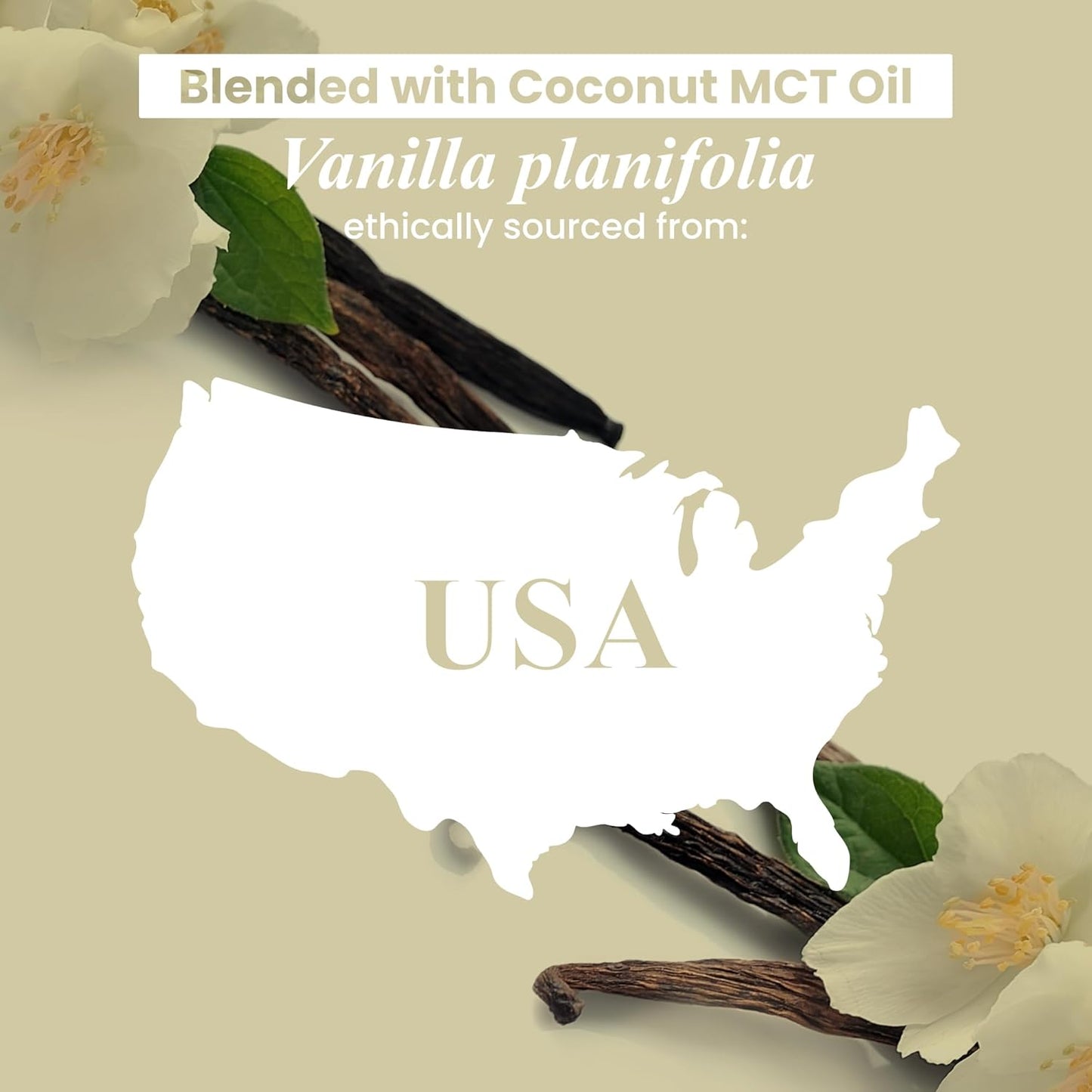 Handcraft Blends Lavender Essential Oil – Huge 4 Fl Oz – Essential Oil for Diffuser and Aromatherapy, Skin, Massage, Candle and Soap Making Fragrance