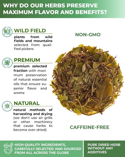 4 oz. Milk Thistle Herb Dried Milk Thistle Herbal Tea (Silybum Marianum) - 113g Herb Tea Cardo Mariano