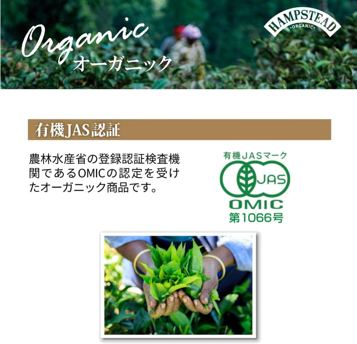 Hampstead Tea Rosehip Hibiscus Tea Sachets 20 Bag, 0.02 Pound