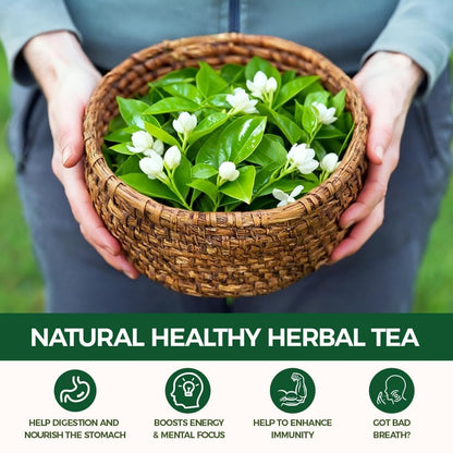 WOTIHA 60 Count Premium Lemon Balm Tea Bags - 100% Pure Natural Leaves, Lemony Citrusy Flavor, Supports Calming & Digestion, Caffeine-Free, Additive-Free, Sugar-Free, Vegan Non-GMO