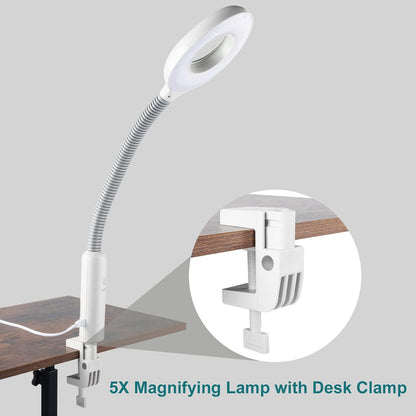 Winado 2 in 1 Facial Steamer with 5X Magnification Light, Deep Cleaning