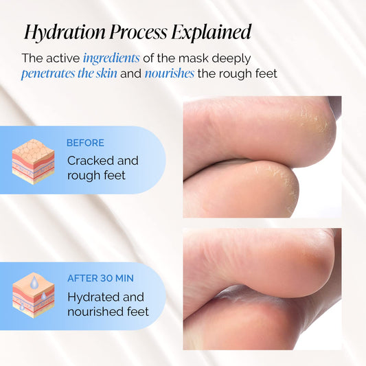 PLANTIFIQUE Korean Hydrating Foot Mask for Dry Cracked Feet, 4 Pairs & Box | Moisturizing Socks for Baby Soft Feet - Softens Heels with Coconut Oil, Shea Butter & Macadamia Seed Oil