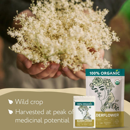 Organic Elder Flower Herb 4oz. - Elderflower Tea for Respiratory Health