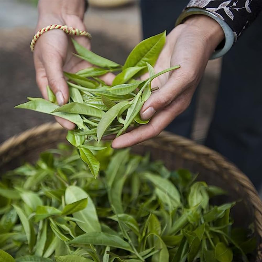 Palais des Thés - Spring Tea -Mint & Bergamot Green Tea -20 Cotton Tea Bags