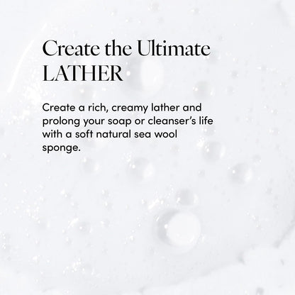 LATHER - Natural Sea Wool Sponge, 5-6" - Organic Exfoliating Body Scrubber - Soft, Gentle Cleansing - Hypoallergenic - All Skin Types - Florida Natural Loofah Sponge - Cruelty Free - Beauty & Skincare