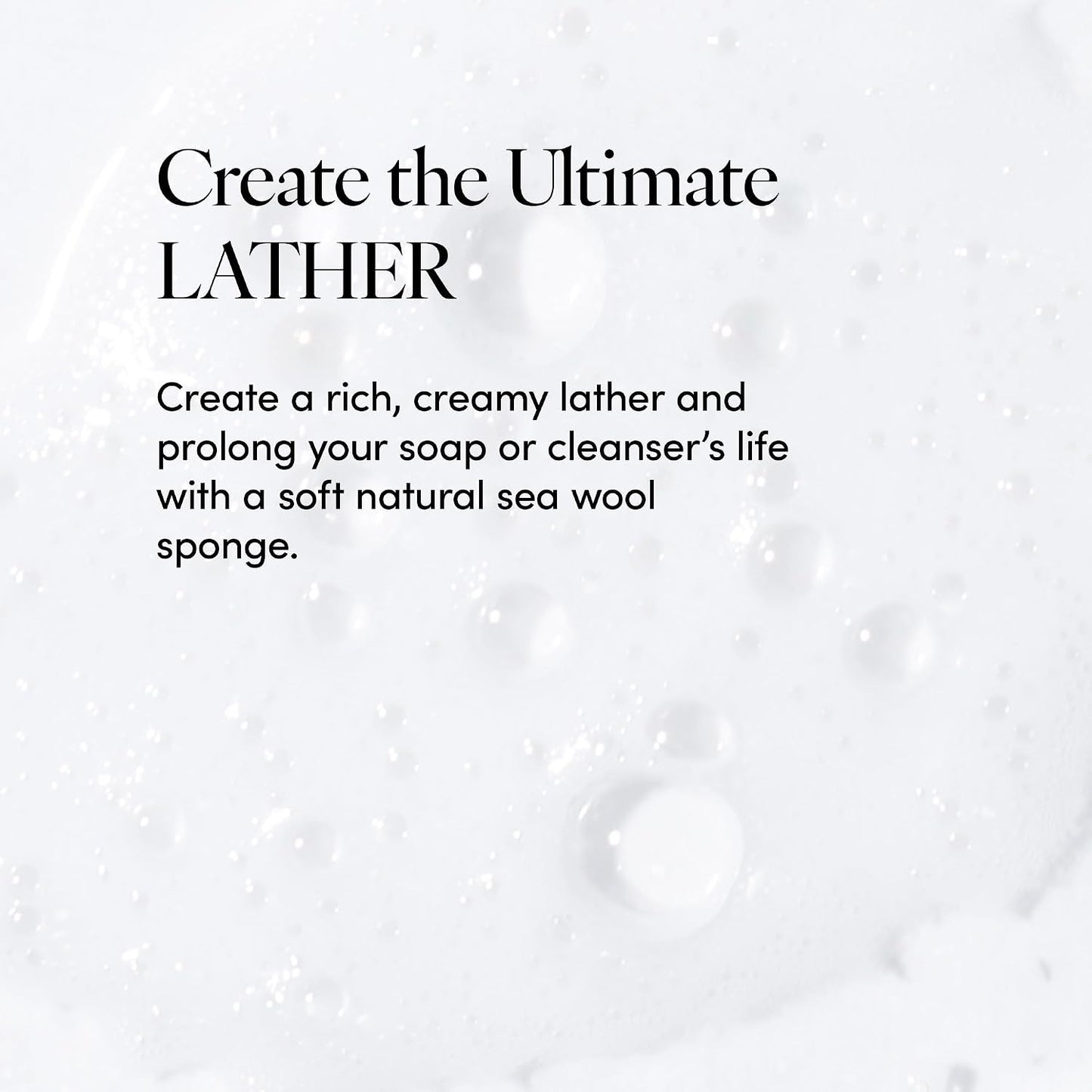 LATHER - Natural Sea Wool Sponge, 5-6" - Organic Exfoliating Body Scrubber - Soft, Gentle Cleansing - Hypoallergenic - All Skin Types - Florida Natural Loofah Sponge - Cruelty Free - Beauty & Skincare