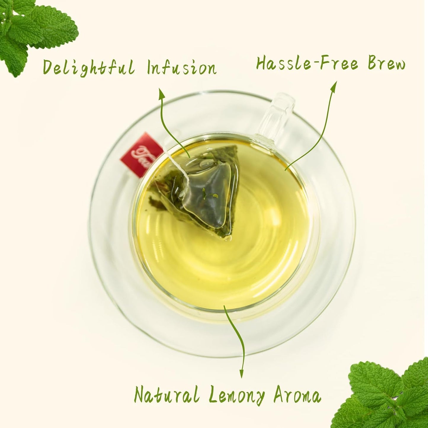 Jarteela Lemon Balm Tea, 1.5g x 60 Count - Natural Melissa Officinalis - Pyramid Herbal Lemon Balm Tea Bags for Digestion - Non-GMO - Caffeine-Free